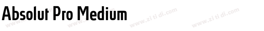 Absolut Pro Medium字体转换